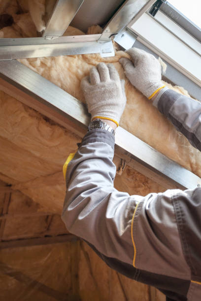 Best Insulation Maintenance and Repair in Chatsworth, IL