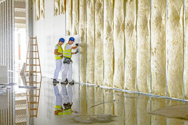 Best Types of Insulation in Chatsworth, IL